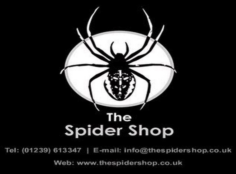 Spider Shop