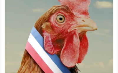 Loué soit la politique