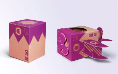 C’est dans la boîte !