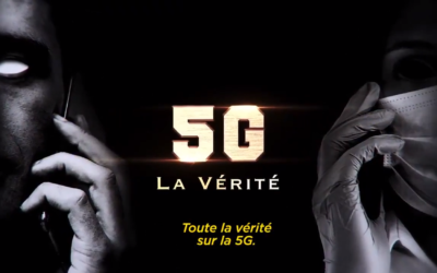 Le Niel et les abeilles