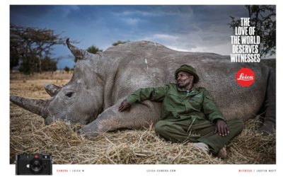 Il n’y a pas photo