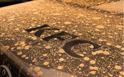 Opération tempête du désert