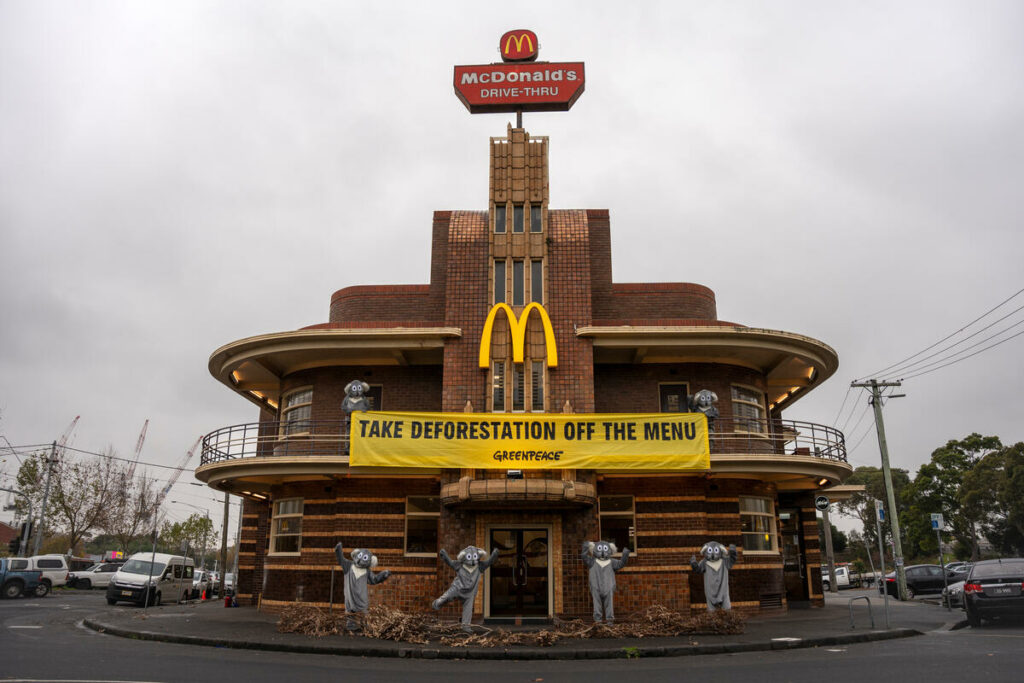 https://www.greenpeace.org/international/story/67772/not-lovin-it-koalas-demand-mcdonalds-take-deforestation-off-the-menu/